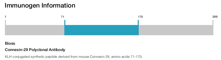 Connexin-29 Polyclonal Antibody