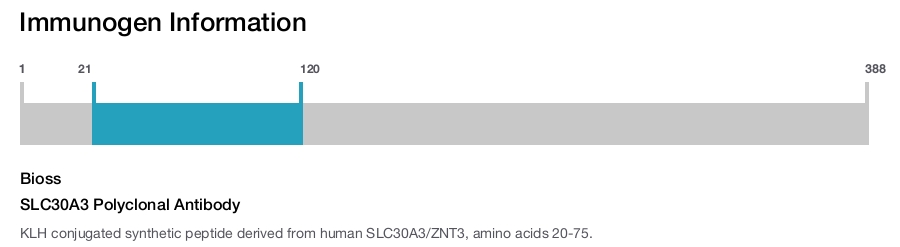 SLC30A3 Polyclonal Antibody