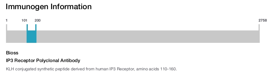 IP3 Receptor Polyclonal Antibody