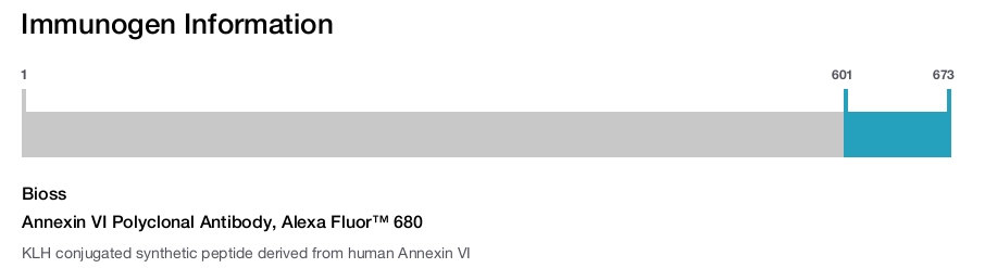 Annexin VI Polyclonal Antibody, Alexa Fluor&trade; 680