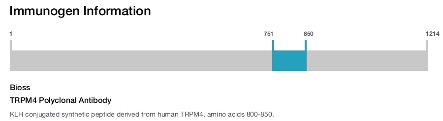 TRPM4 Polyclonal Antibody
