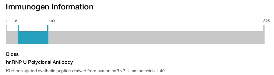 hnRNP U Polyclonal Antibody