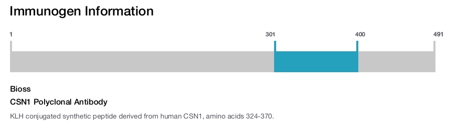 CSN1 Polyclonal Antibody