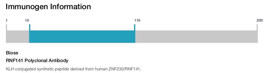 RNF141 Polyclonal Antibody