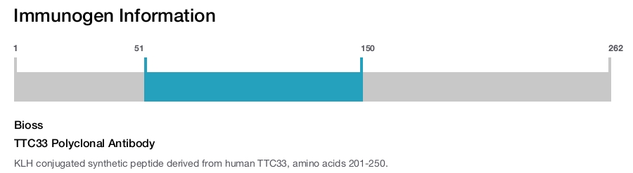 TTC33 Polyclonal Antibody