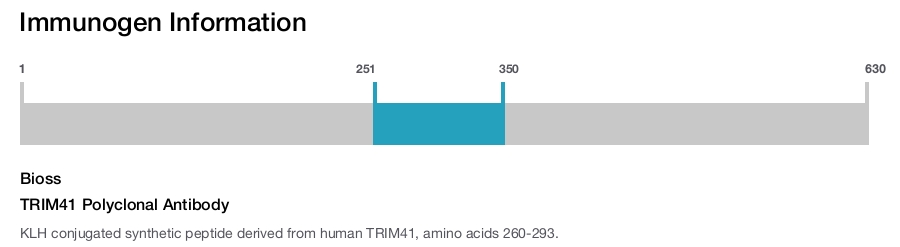 TRIM41 Polyclonal Antibody
