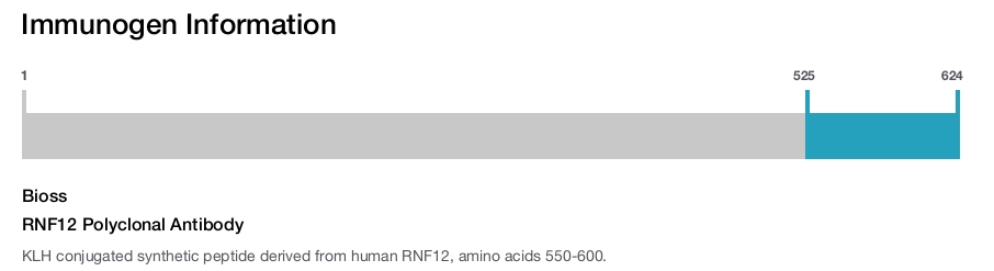 RNF12 Polyclonal Antibody