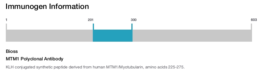 MTM1 Polyclonal Antibody