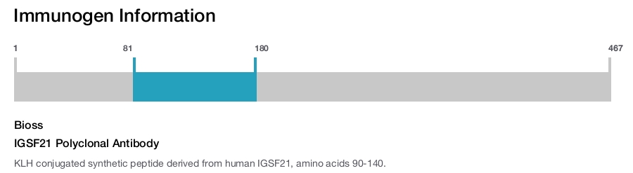 IGSF21 Polyclonal Antibody