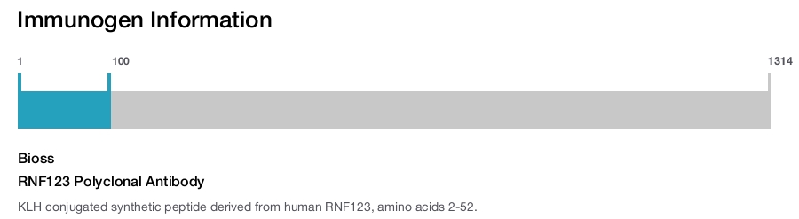RNF123 Polyclonal Antibody