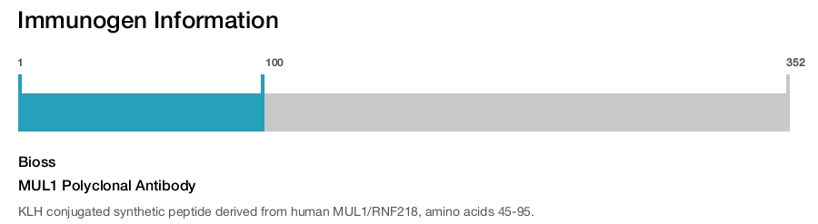 MUL1 Polyclonal Antibody