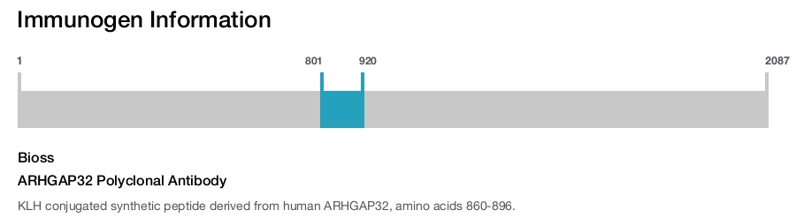 ARHGAP32 Polyclonal Antibody