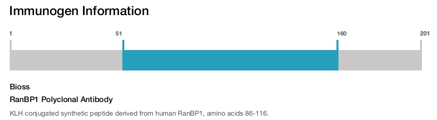 RanBP1 Polyclonal Antibody