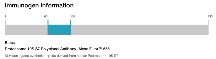 Proteasome 19S S7 Polyclonal Antibody, Alexa Fluor&trade; 555