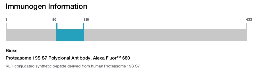 Proteasome 19S S7 Polyclonal Antibody, Alexa Fluor™ 680