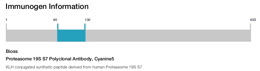 Proteasome 19S S7 Polyclonal Antibody, Cyanine5