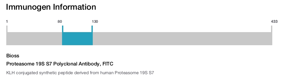 Proteasome 19S S7 Polyclonal Antibody, FITC