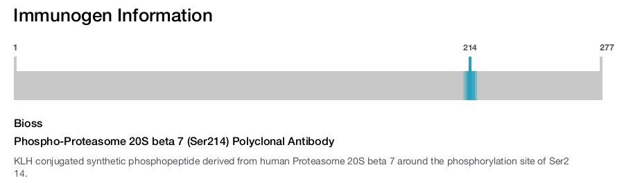 Phospho-Proteasome 20S beta 7 (Ser214) Polyclonal Antibody