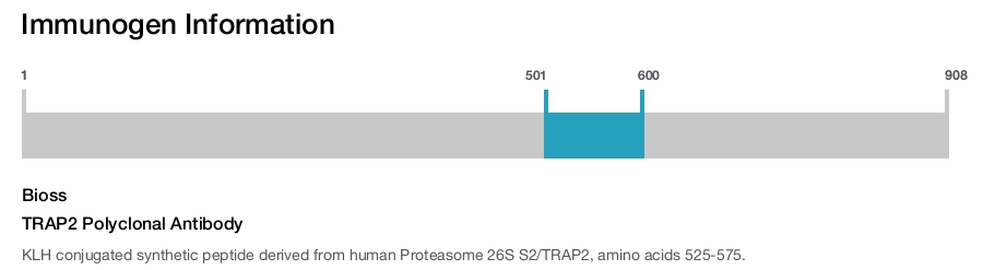 TRAP2 Polyclonal Antibody