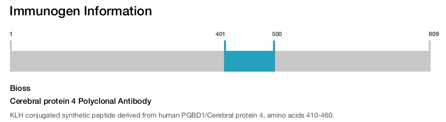 Cerebral protein 4 Polyclonal Antibody
