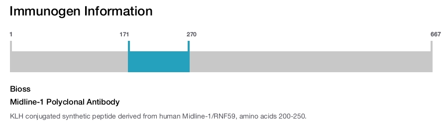 Midline-1 Polyclonal Antibody