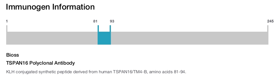 TSPAN16 Polyclonal Antibody
