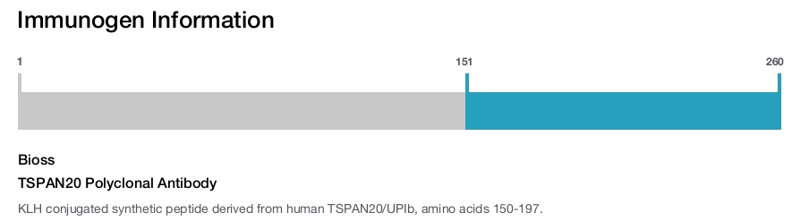 TSPAN20 Polyclonal Antibody