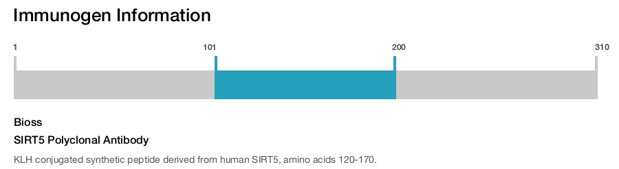 SIRT5 Polyclonal Antibody