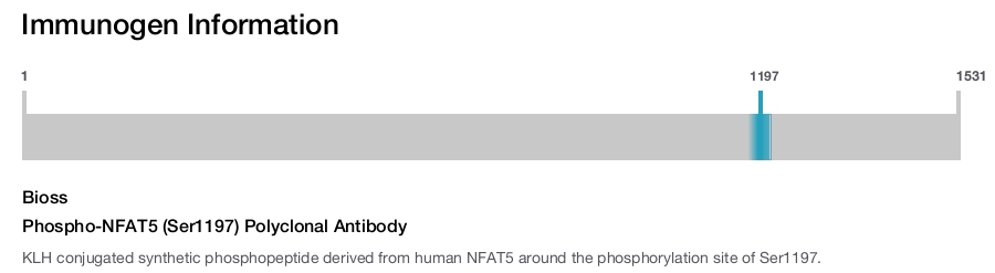 Phospho-NFAT5 (Ser1197) Polyclonal Antibody