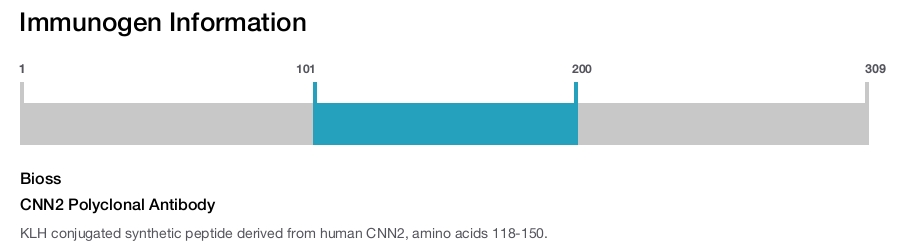 CNN2 Polyclonal Antibody