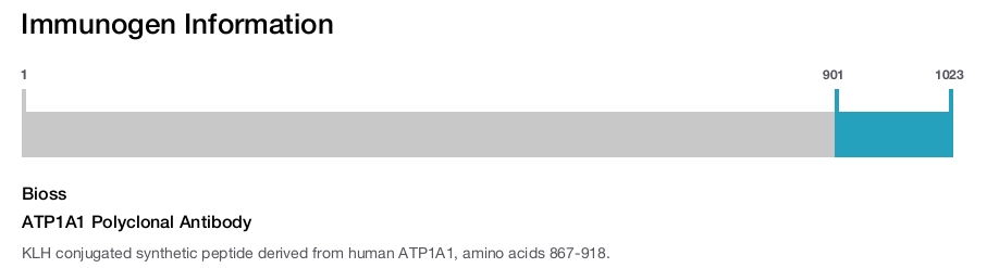 ATP1A1 Polyclonal Antibody