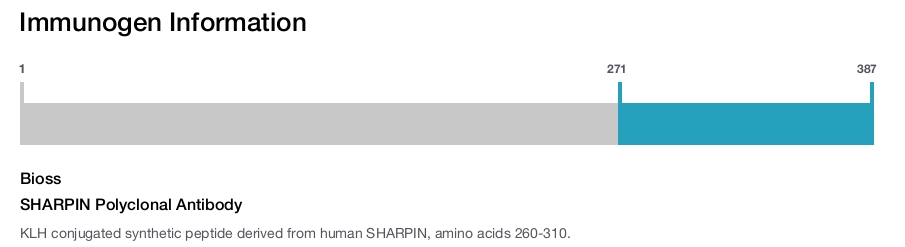 SHARPIN Polyclonal Antibody