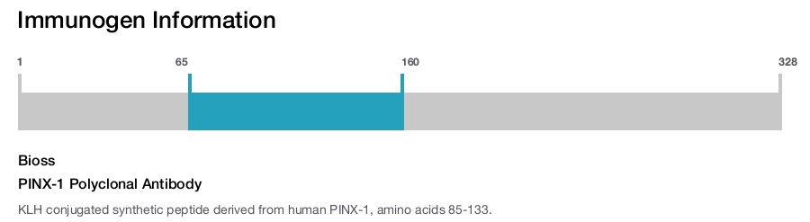 PINX-1 Polyclonal Antibody