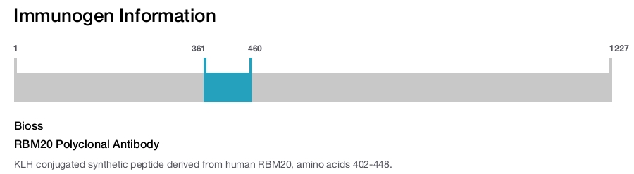 RBM20 Polyclonal Antibody