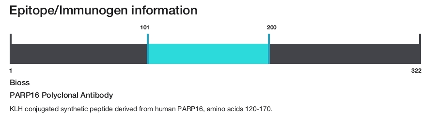 PARP16 Polyclonal Antibody