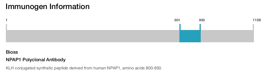 NPAP1 Polyclonal Antibody