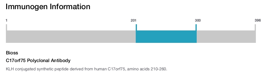 C17orf75 Polyclonal Antibody