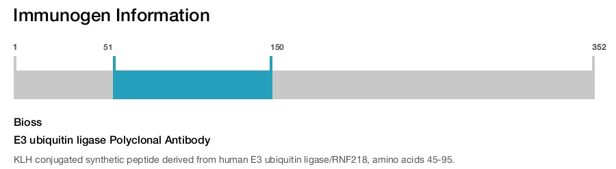 E3 ubiquitin ligase Polyclonal Antibody