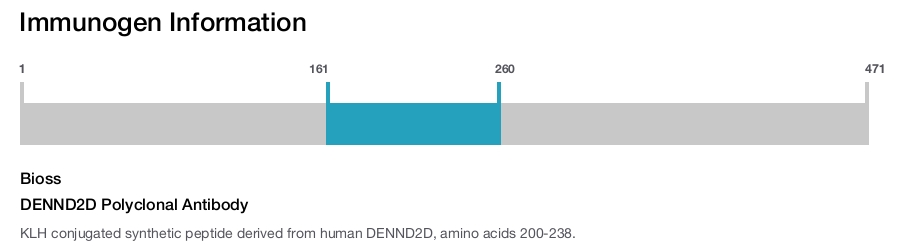 DENND2D Polyclonal Antibody