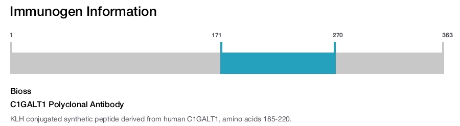 C1GALT1 Polyclonal Antibody