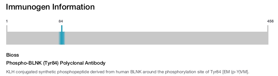 Phospho-BLNK (Tyr84) Polyclonal Antibody