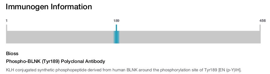 Phospho-BLNK (Tyr189) Polyclonal Antibody