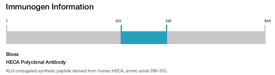 HECA Polyclonal Antibody