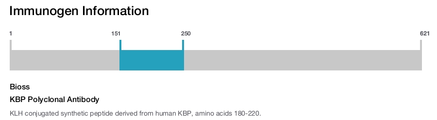 KBP Polyclonal Antibody