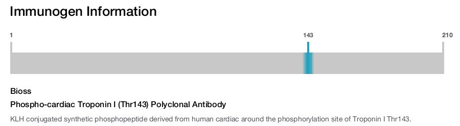 Phospho-cardiac Troponin I (Thr143) Polyclonal Antibody