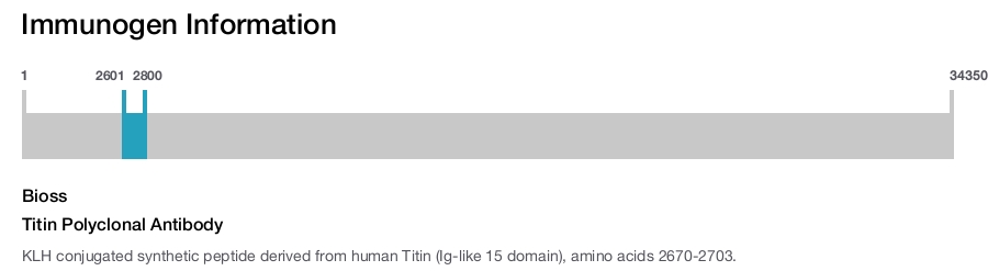 Titin Polyclonal Antibody