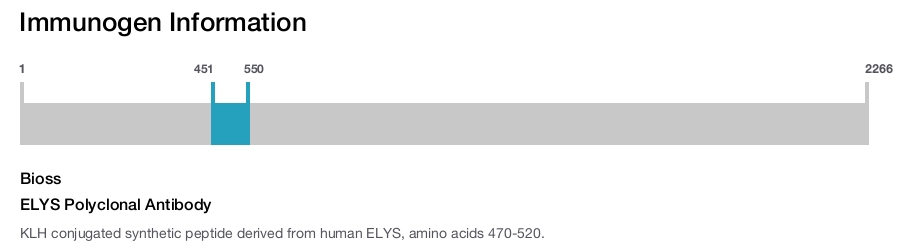 ELYS Polyclonal Antibody