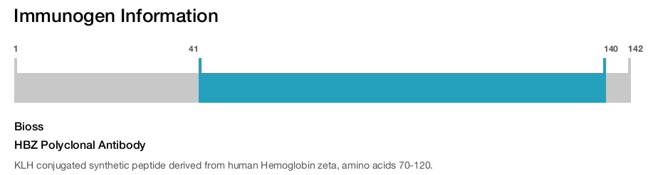 HBZ Polyclonal Antibody