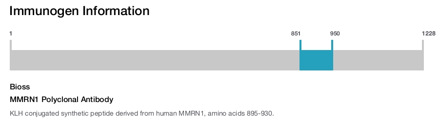 MMRN1 Polyclonal Antibody
