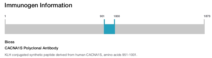 CACNA1S Polyclonal Antibody